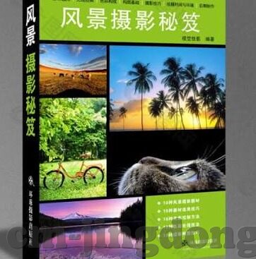 2017年伦理片免费观看-2017年伦理片，免费观看的伦理与边界