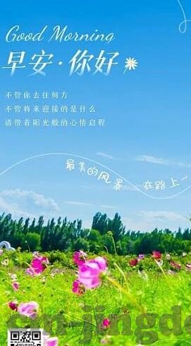 91麻豆高清视频-透视91麻豆高清视频的迷思与现实