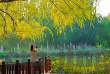 麻豆视频传媒app-探索次元，深度体验麻豆视频传媒App的多元娱乐世界
